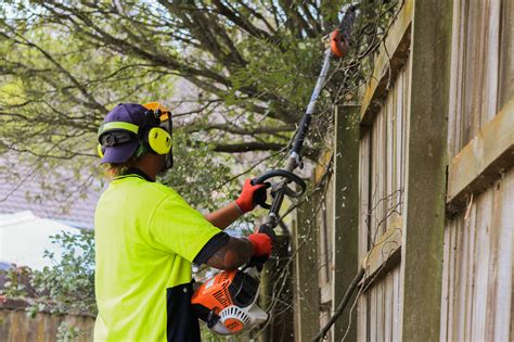 fence line clearing 